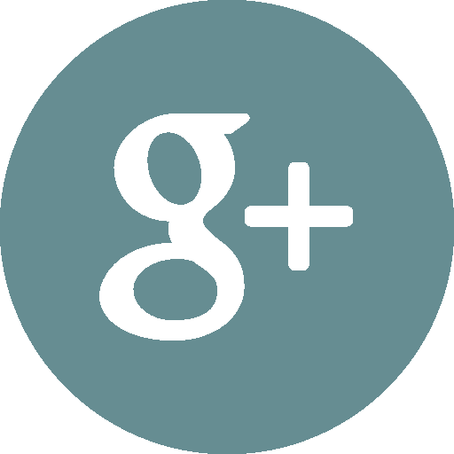 google plus logo button bl