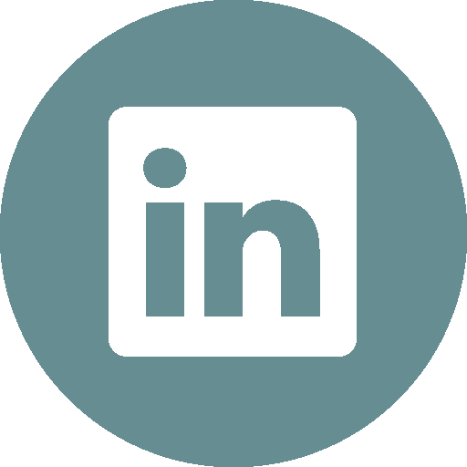 linkedin logo button bl