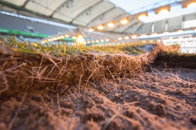 heiler spielt mit textkultur kommunikativ in der ersten Liga