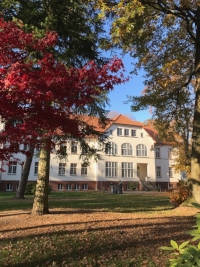 Mittendrin im Gr&uuml;nen